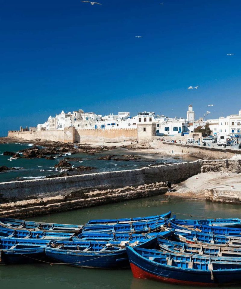 Essaouira day trip