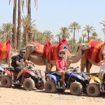 Marrakech: Palmeraie Marrakech Quad and Camel ride