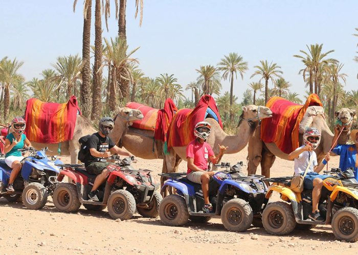 Marrakech: Palmeraie Marrakech Quad and Camel ride