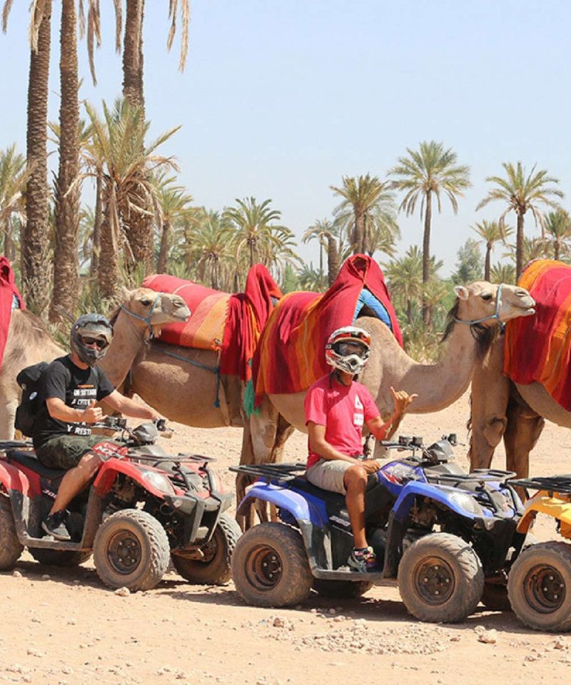 Marrakech: Palmeraie Marrakech Quad and Camel ride