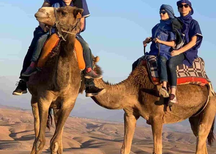 agafay desert camel ride