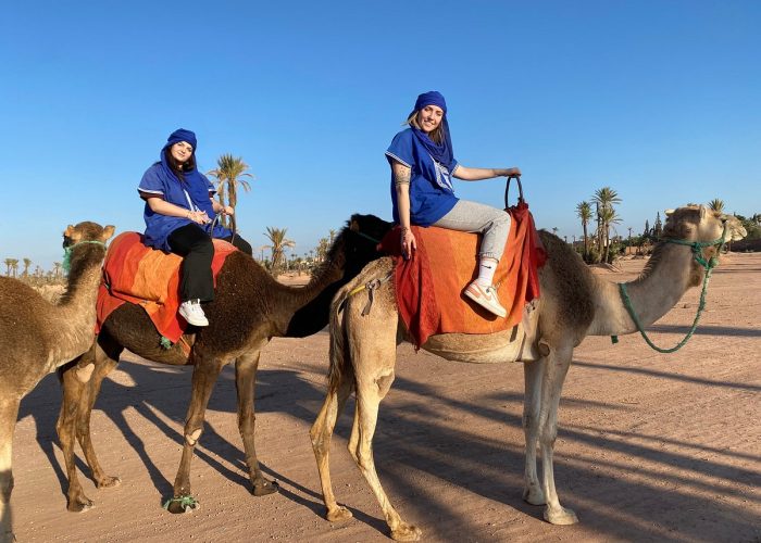 agafay desert camel ride