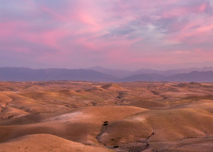 agafay desert camel ride