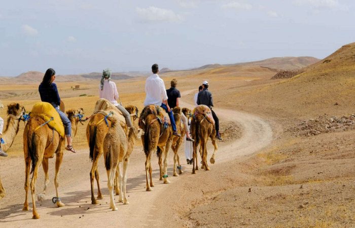 agafay desert camel ride