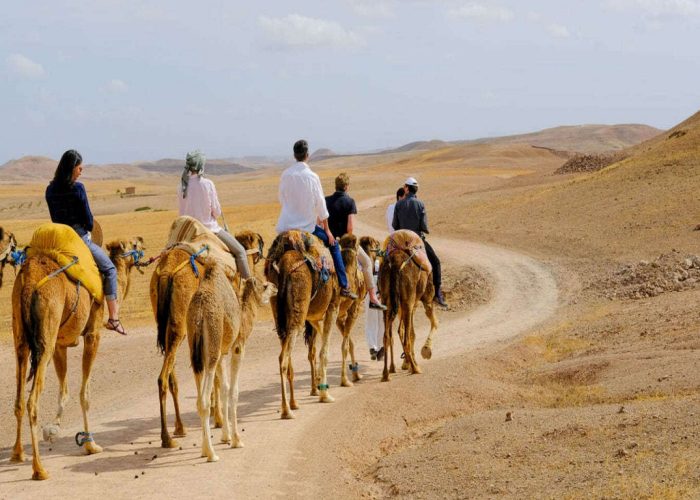 agafay desert camel ride