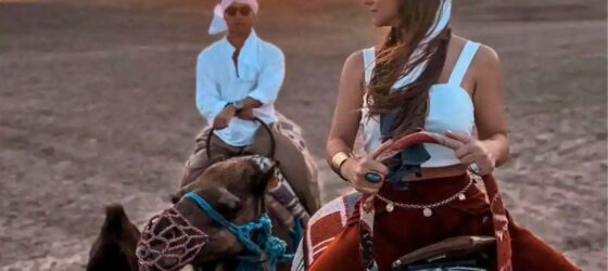 Camel ride at sunset in the Agafay Desert