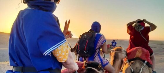 Sunset camel ride in Agafay Desert near Marrakech with camels walking on rocky terrain