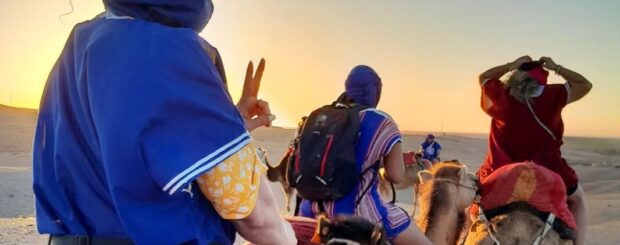 Sunset camel ride in Agafay Desert near Marrakech with camels walking on rocky terrain