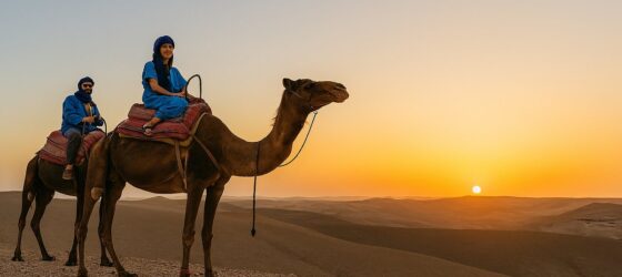 Couple riding camels in the Agafay Desert at sunset